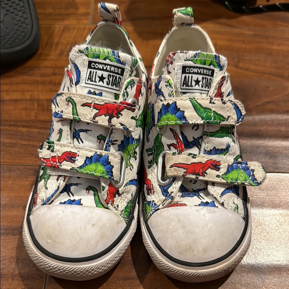 Converse Dinosaur Print Sneakers